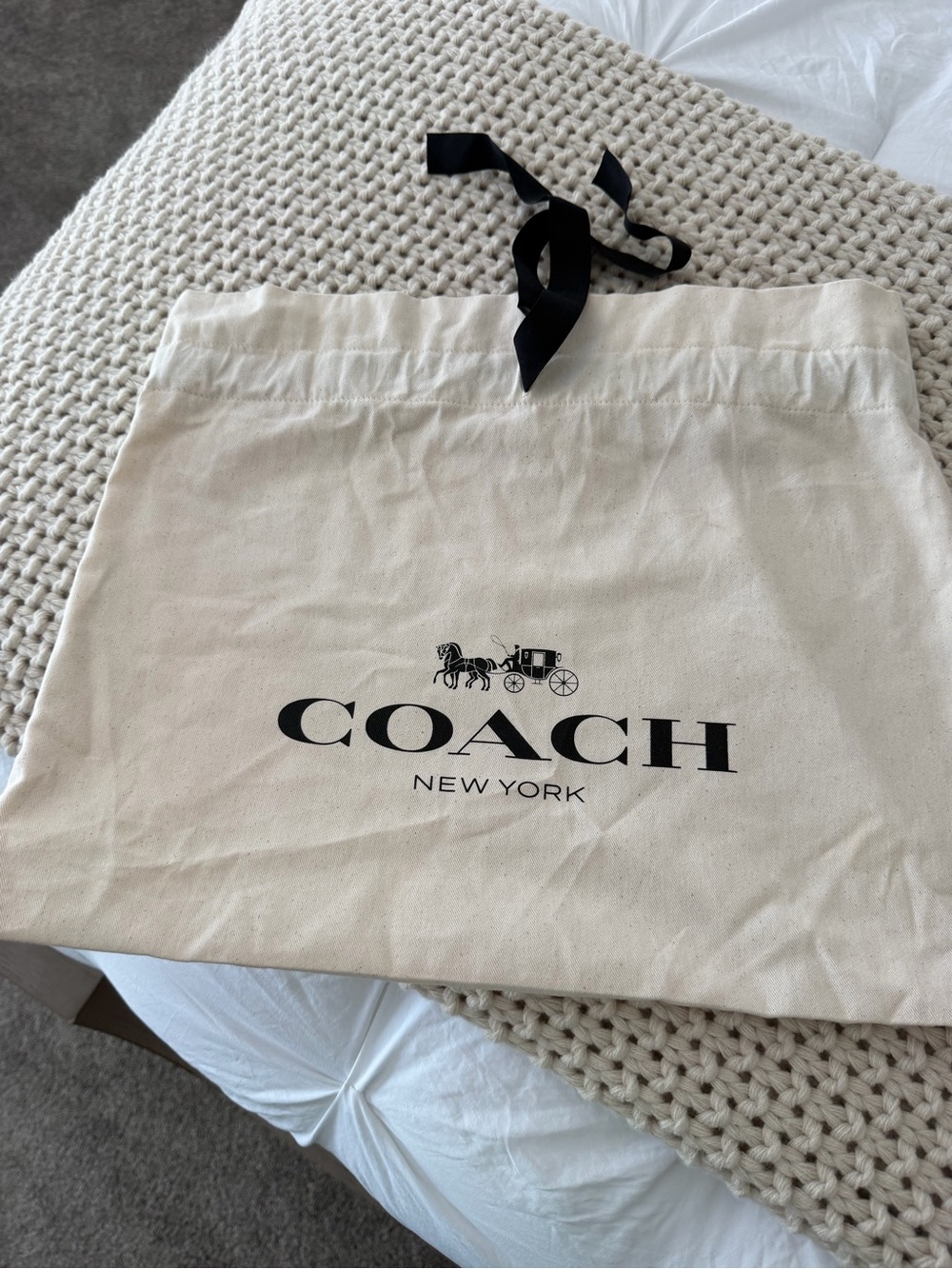 Authentic Brand New Coach Carmen Mini Crossbody Bag (Box & Dust Bag Inculed) - Picture 10 of 10